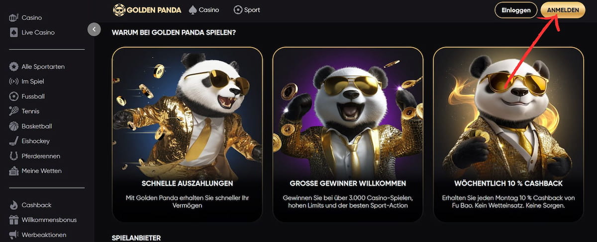 Anmeldevorgang beginnen