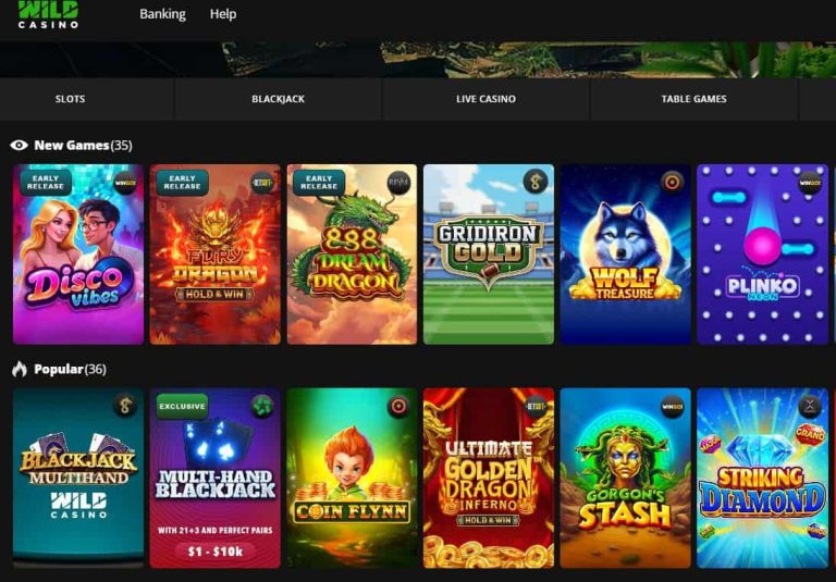 wild-casino-slots