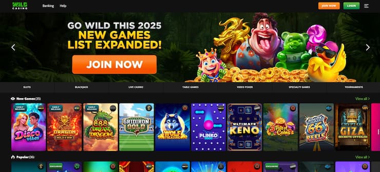 wild-casino-homepage