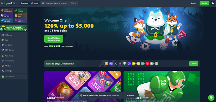 wild io telegram casino homepage