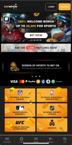BetWhale Sportsbook mobile sports betting site