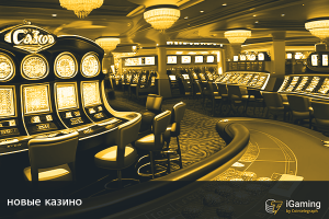 новые казино