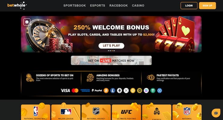 A snapshot of BetWhale Casino, a top Craps casino site for US players