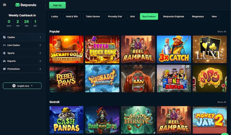 A snapshot of BetPanda crypto casino game lobby