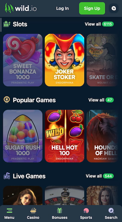 Wild.io crypto casino homepage